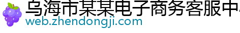 乌海市某某电子商务客服中心